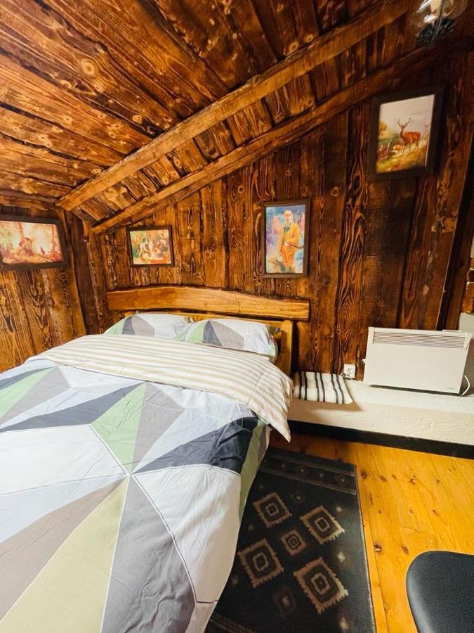 Cabana Vanatorului 8 Sohodol  Extérieur photo