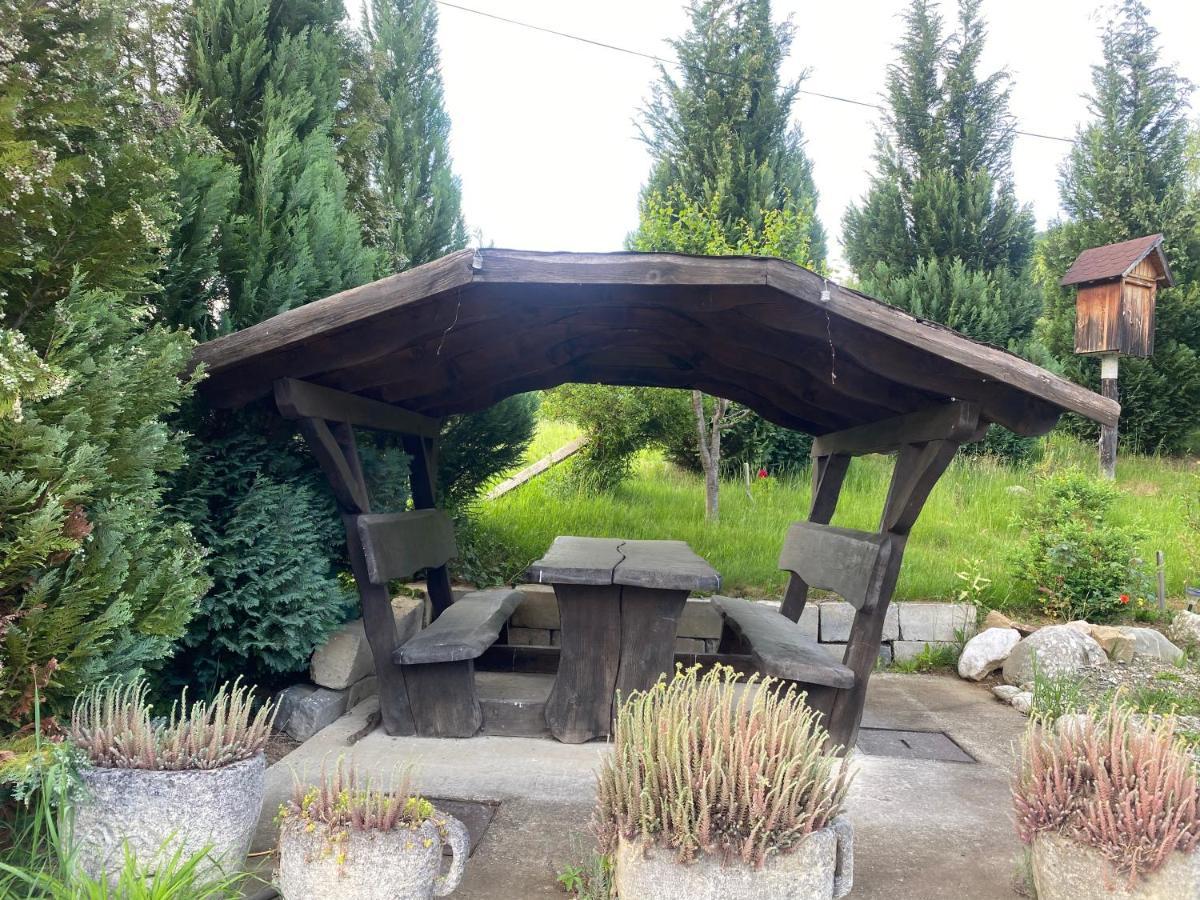 Cabana Vanatorului 8 Sohodol  Extérieur photo